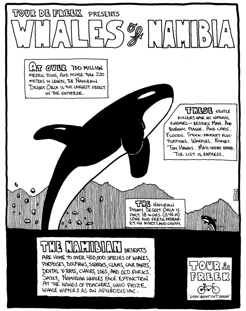 Whales of the Namibian Desert